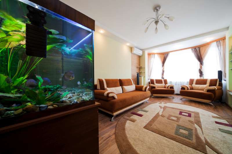 aquarium in a room